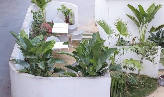 原创 广州必打卡拍照好地方,拍足一天没问题12