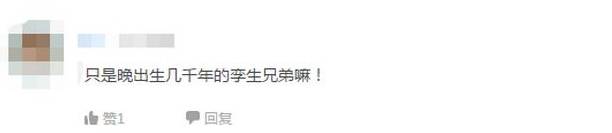 原创 四川偏僻山村现乐山大佛孪生兄弟,当地政府:无文物价值7