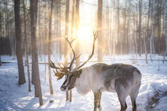 原创 零下58℃是一种什么样的体验?“中国冷极”告诉你14