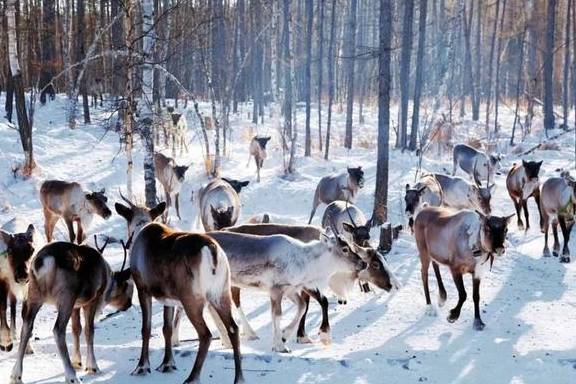 原创 零下58℃是一种什么样的体验?“中国冷极”告诉你15