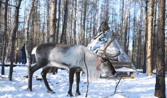 原创 零下58℃是一种什么样的体验?“中国冷极”告诉你21