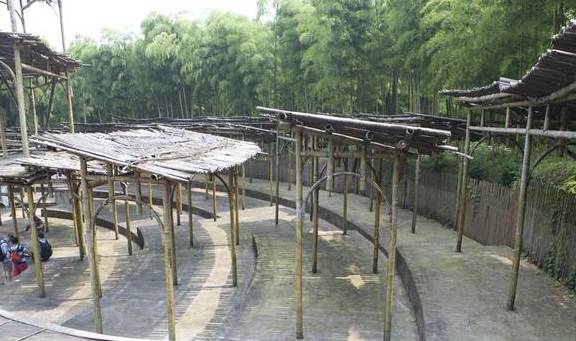 原创 浙江人把毛竹山变成景区,成龙的《卧虎藏龙》拍摄地,门票58元1