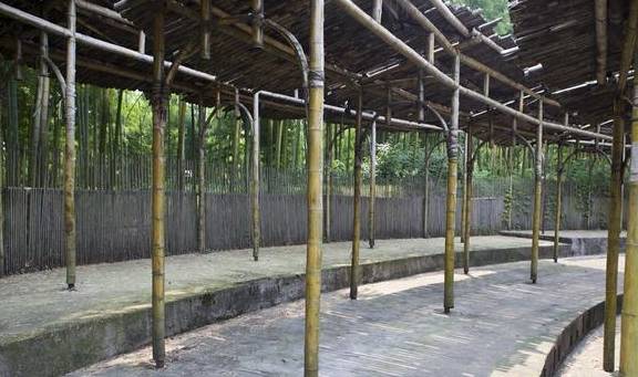 原创 浙江人把毛竹山变成景区,成龙的《卧虎藏龙》拍摄地,门票58元9