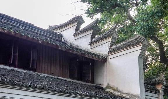 原创 浙江人把毛竹山变成景区,成龙的《卧虎藏龙》拍摄地,门票58元10