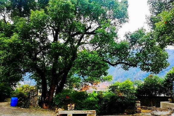 原创 入宿寒山茅舍，走进静谧的小山村，体验原汁原味的农家厨房生活8