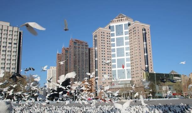 原创 石家庄有一处景点，有1400多年的历史，名气很大，游客却很少1