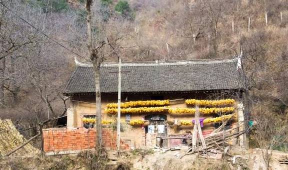 原创 ?寻访秦岭铁铜沟,羊群后跟个小姑娘,面带几分羞怯,看不出年龄2