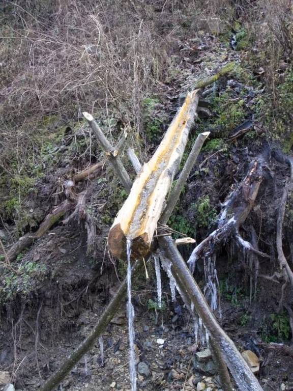 原创 ?寻访秦岭铁铜沟,羊群后跟个小姑娘,面带几分羞怯,看不出年龄7