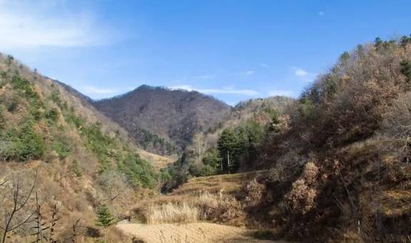 原创 ?寻访秦岭铁铜沟,羊群后跟个小姑娘,面带几分羞怯,看不出年龄10