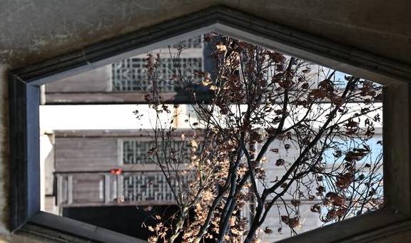 原创 5A古镇里的明代园林，根雕天下一绝，主人有官不做当隐士14