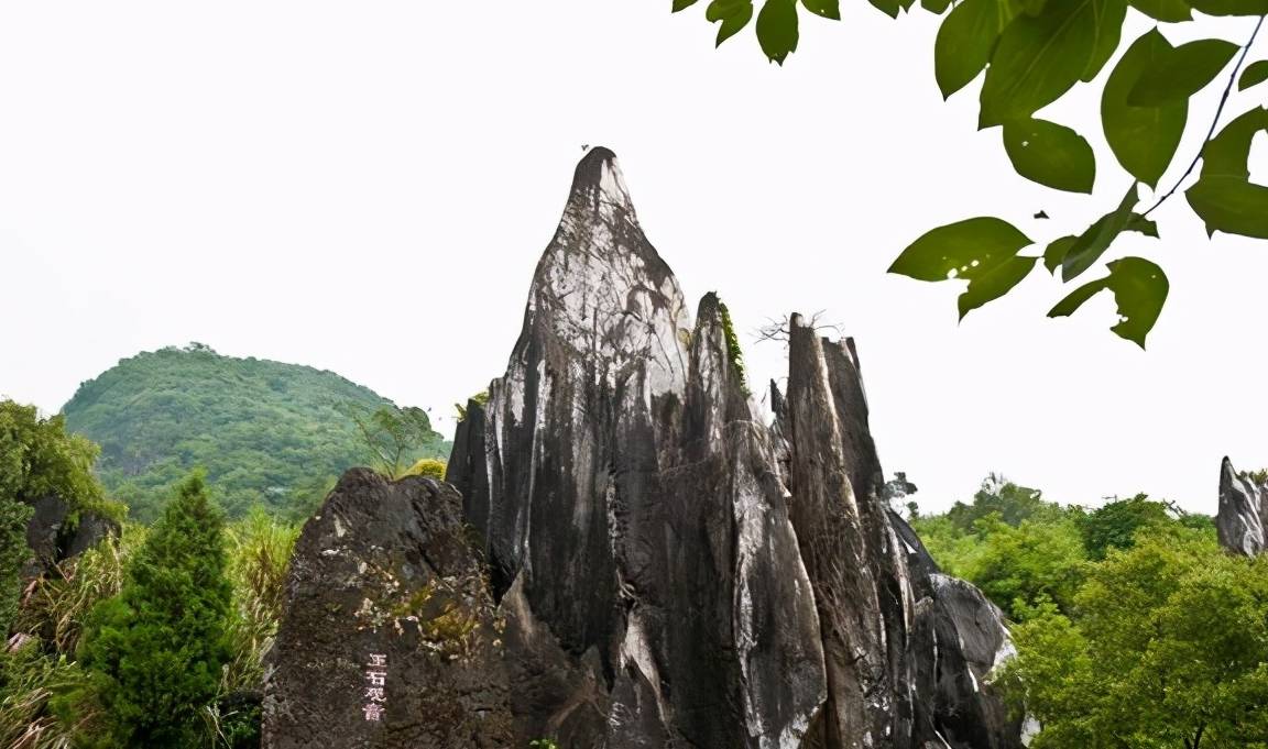 原创 大自然的成名之作,已有千年的历史,超怪异的石林就藏在广西!9