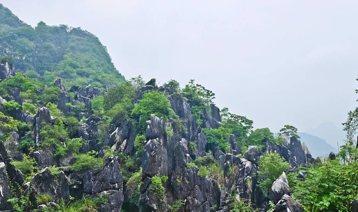 原创 大自然的成名之作,已有千年的历史,超怪异的石林就藏在广西!11