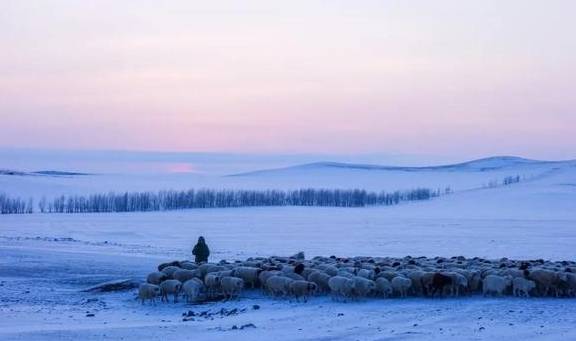 原创 比新疆多一分安逸,比大西北少一分嘈杂这里满足了我对冬天的想象2