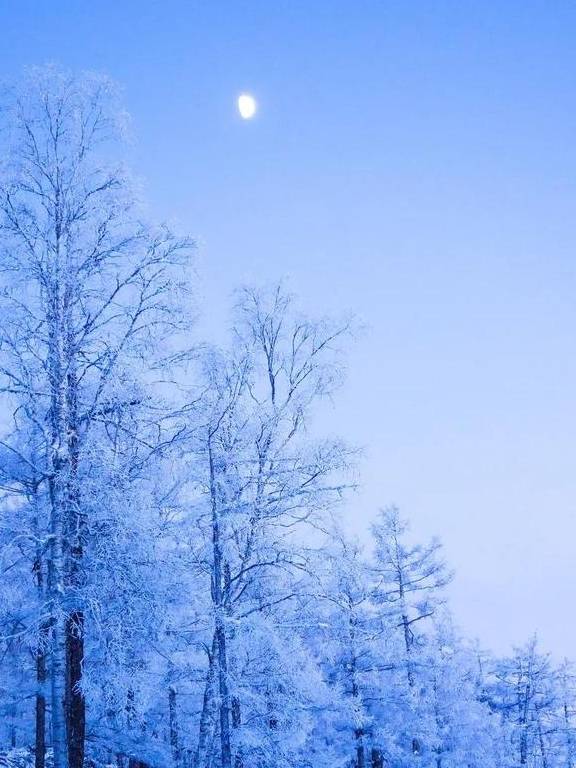 原创 比新疆多一分安逸,比大西北少一分嘈杂这里满足了我对冬天的想象3