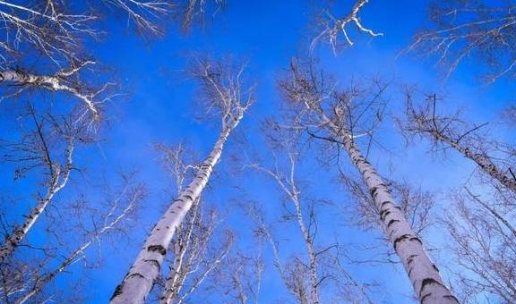原创 比新疆多一分安逸,比大西北少一分嘈杂这里满足了我对冬天的想象18