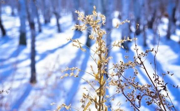 原创 比新疆多一分安逸,比大西北少一分嘈杂这里满足了我对冬天的想象19
