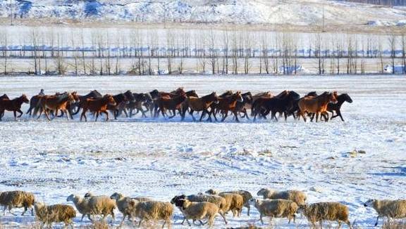 原创 比新疆多一分安逸,比大西北少一分嘈杂这里满足了我对冬天的想象22