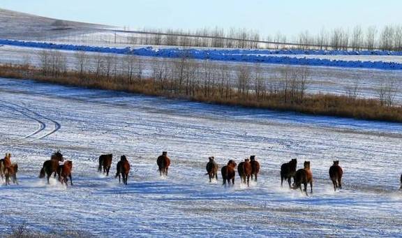 原创 比新疆多一分安逸,比大西北少一分嘈杂这里满足了我对冬天的想象25