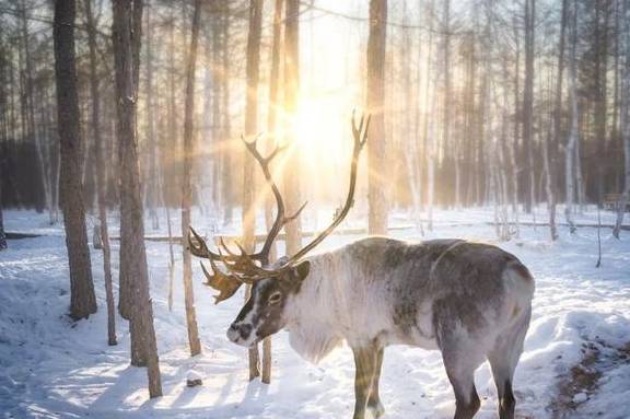 原创 比新疆多一分安逸,比大西北少一分嘈杂这里满足了我对冬天的想象31