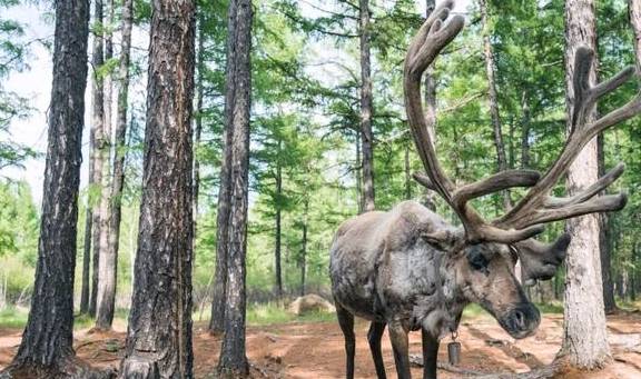 原创 比新疆多一分安逸,比大西北少一分嘈杂这里满足了我对冬天的想象33