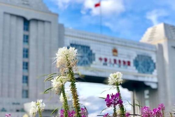 原创 比新疆多一分安逸,比大西北少一分嘈杂这里满足了我对冬天的想象39