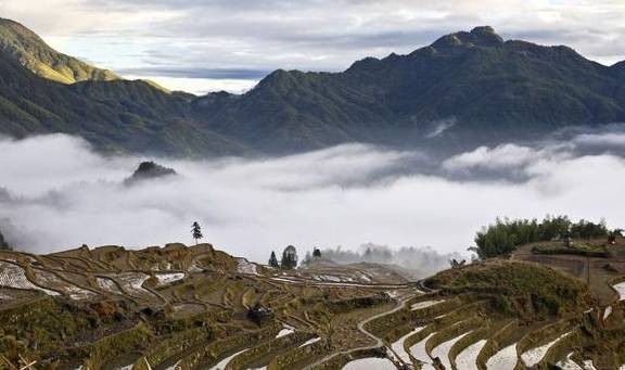 原创 轻纱漫舞，祥云缭绕，美妙的人间仙境云和梯田2