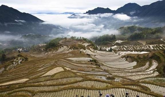 原创 轻纱漫舞，祥云缭绕，美妙的人间仙境云和梯田4