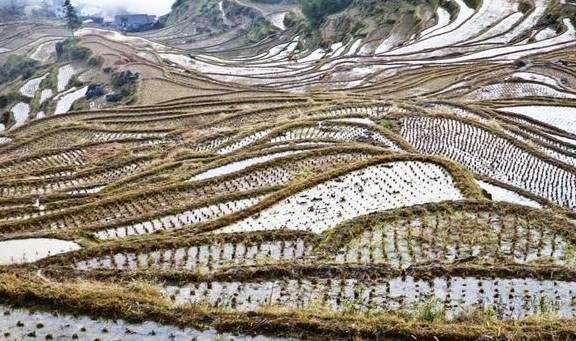 原创 轻纱漫舞，祥云缭绕，美妙的人间仙境云和梯田6