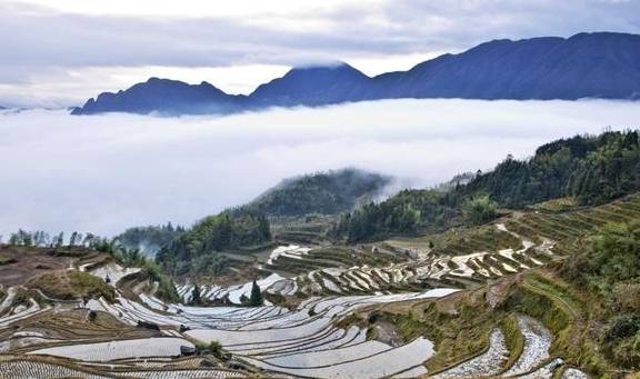 原创 轻纱漫舞，祥云缭绕，美妙的人间仙境云和梯田7