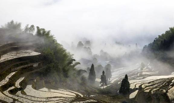 原创 轻纱漫舞，祥云缭绕，美妙的人间仙境云和梯田9