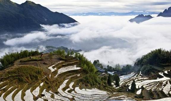 原创 轻纱漫舞，祥云缭绕，美妙的人间仙境云和梯田12