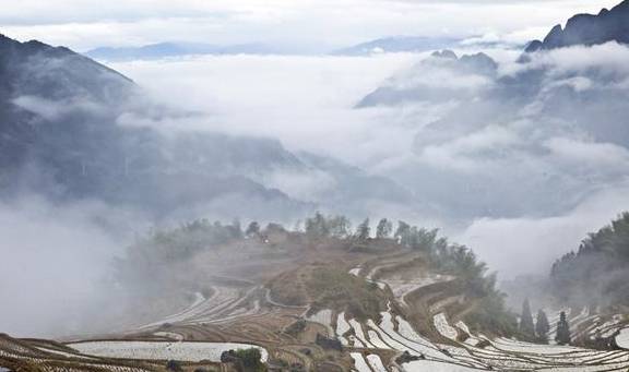 原创 轻纱漫舞，祥云缭绕，美妙的人间仙境云和梯田13