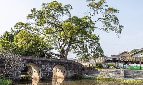 原创 广东有座古村落，被一个养鸭人所建，拥有百年历史却少为人知3