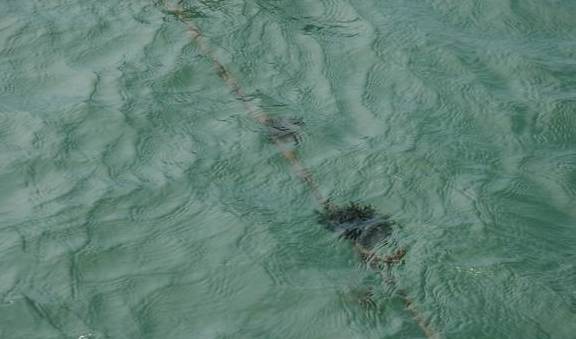 原创 福建霞浦有四大沙滩,全部免费对外开放,你认为哪一个最值得去?5