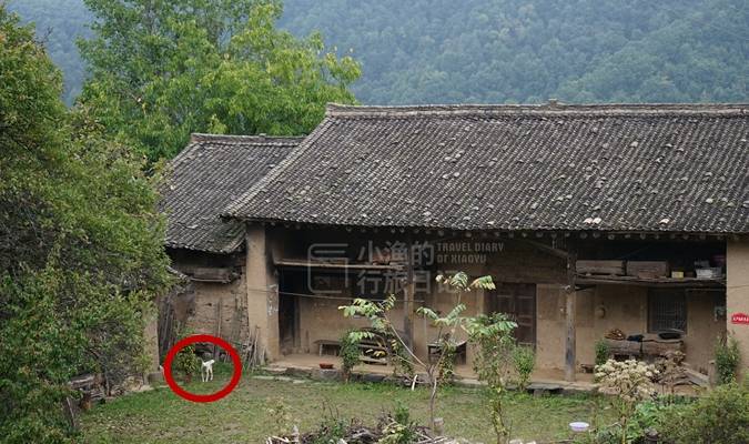 原创 陕南秦岭探秘：这样的深山老房子，冬暖夏凉极具智慧，却越来越少4