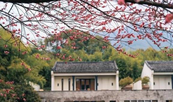 原创 她当然有皱纹,可是开怀大笑的时候,连皱纹也美极了2