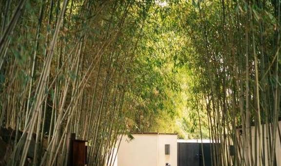 原创 她当然有皱纹,可是开怀大笑的时候,连皱纹也美极了9