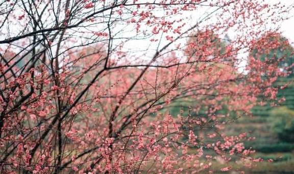 原创 她当然有皱纹,可是开怀大笑的时候,连皱纹也美极了15