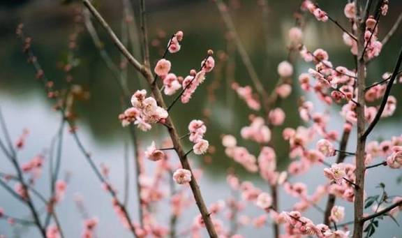 原创 她当然有皱纹,可是开怀大笑的时候,连皱纹也美极了16