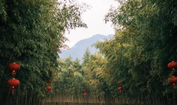 原创 她当然有皱纹,可是开怀大笑的时候,连皱纹也美极了18