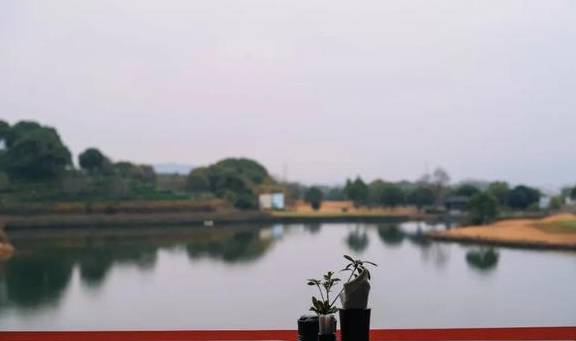 原创 她当然有皱纹,可是开怀大笑的时候,连皱纹也美极了29