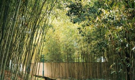 原创 她当然有皱纹,可是开怀大笑的时候,连皱纹也美极了37