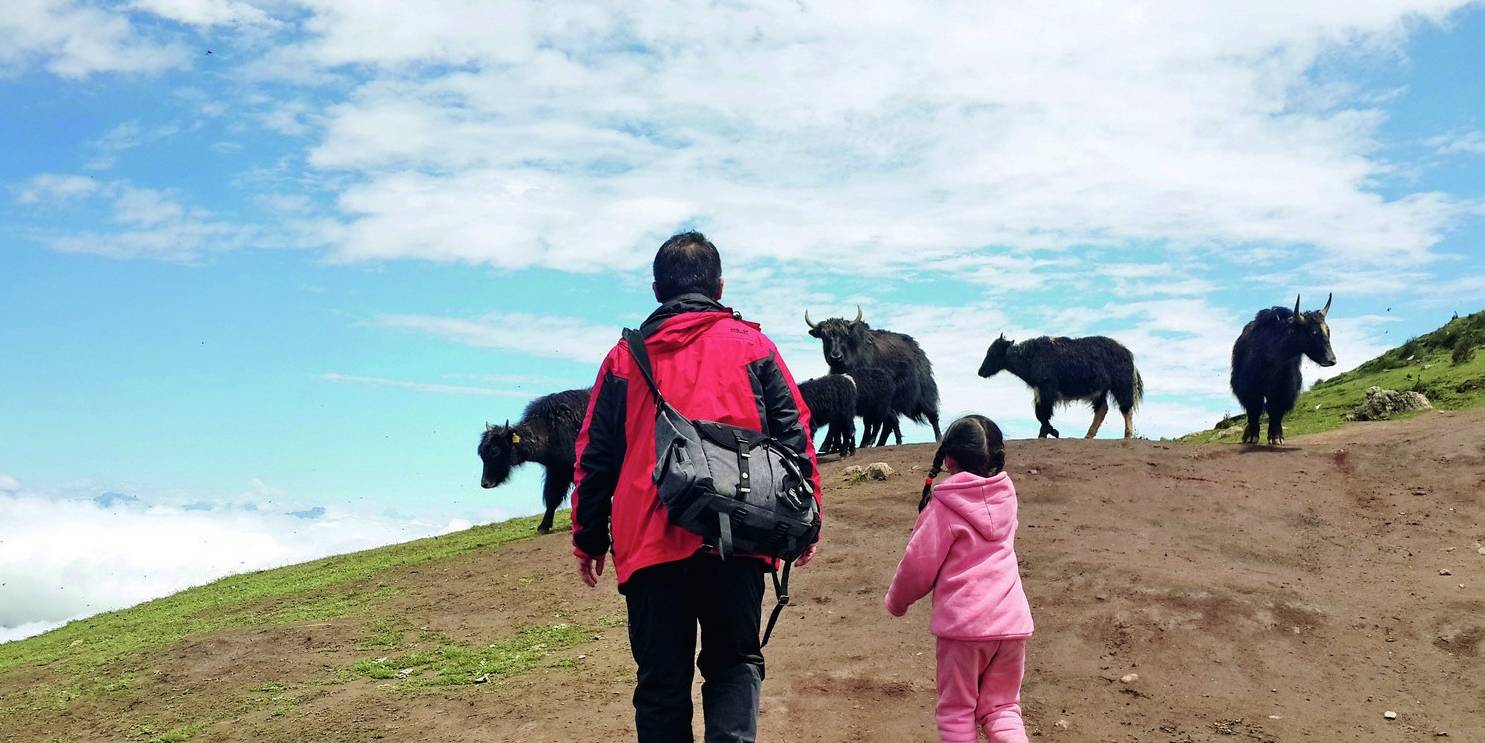 原创 四川牛背山有奇异风光,值得自驾游客一生看一次,冒险上山也值得6