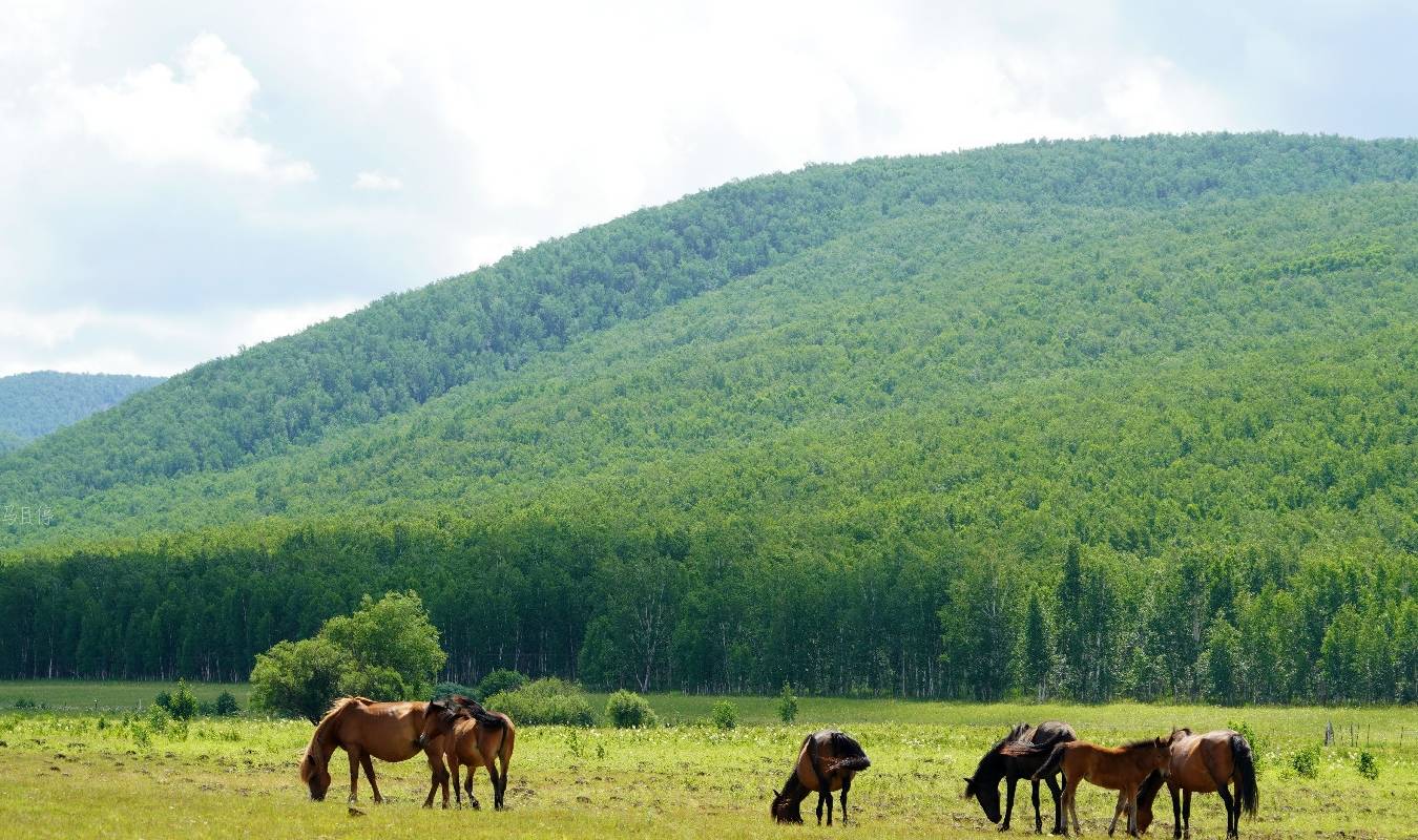 原创 内蒙古特别的地方,中国纬度最高县级市,可看到洋气的俄罗斯族风情1