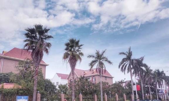 原创 广西又一座宜居城市,房价低设施好,还是热门海岛旅游地3