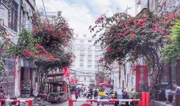 原创 广西又一座宜居城市,房价低设施好,还是热门海岛旅游地5