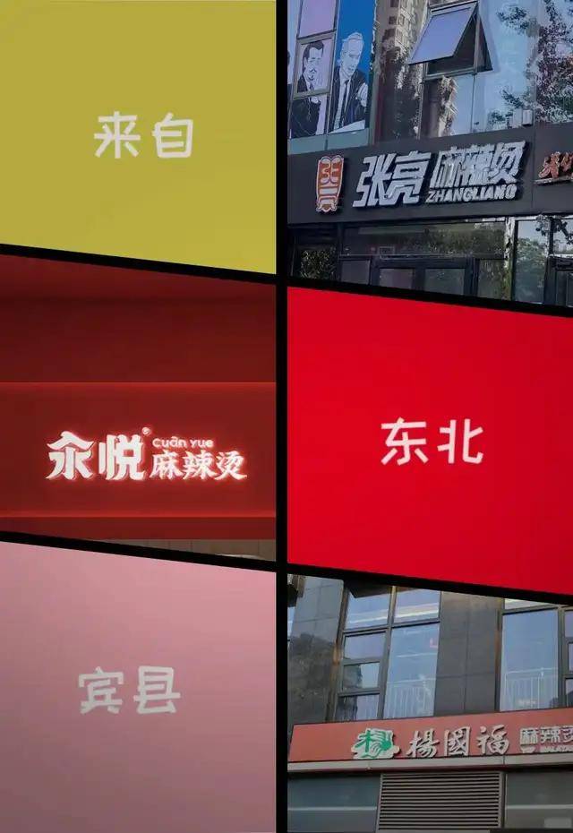 原创 宾县承包麻辣烫半壁江山:杨国福向左、张亮向右,还有汆悦、秀海福、马玉涛1