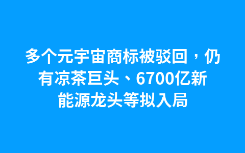 多个元宇宙商标被驳回,仍有凉茶巨头、6700亿新能源龙头等拟入局1