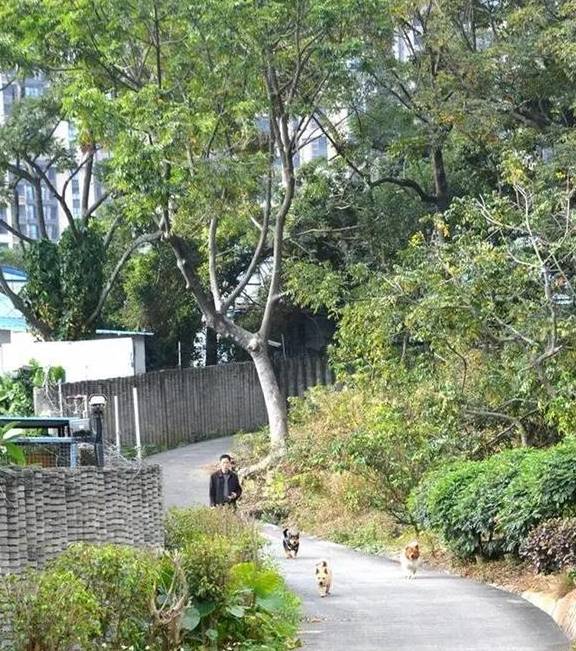 原创 广东中山元亨里村:秀美村庄 和谐宜居6