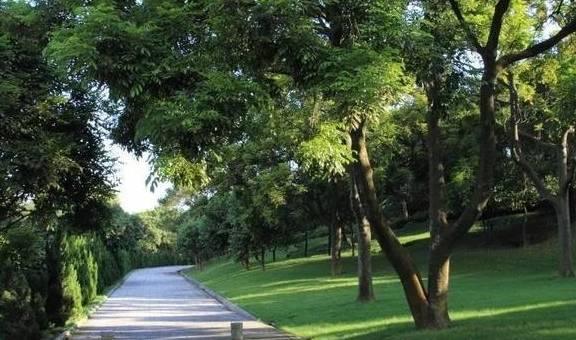 原创 广东中山元亨里村:秀美村庄 和谐宜居7